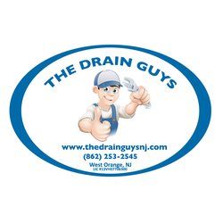 The Drain Guys's Logo